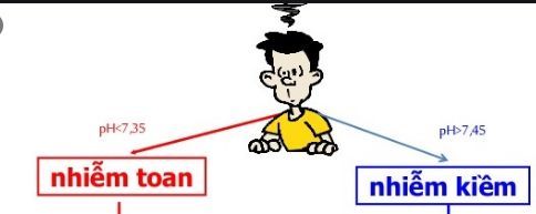 Dựa vào chỉ số pH máu có thể đánh giá tình trạng toan máu – kiềm máu